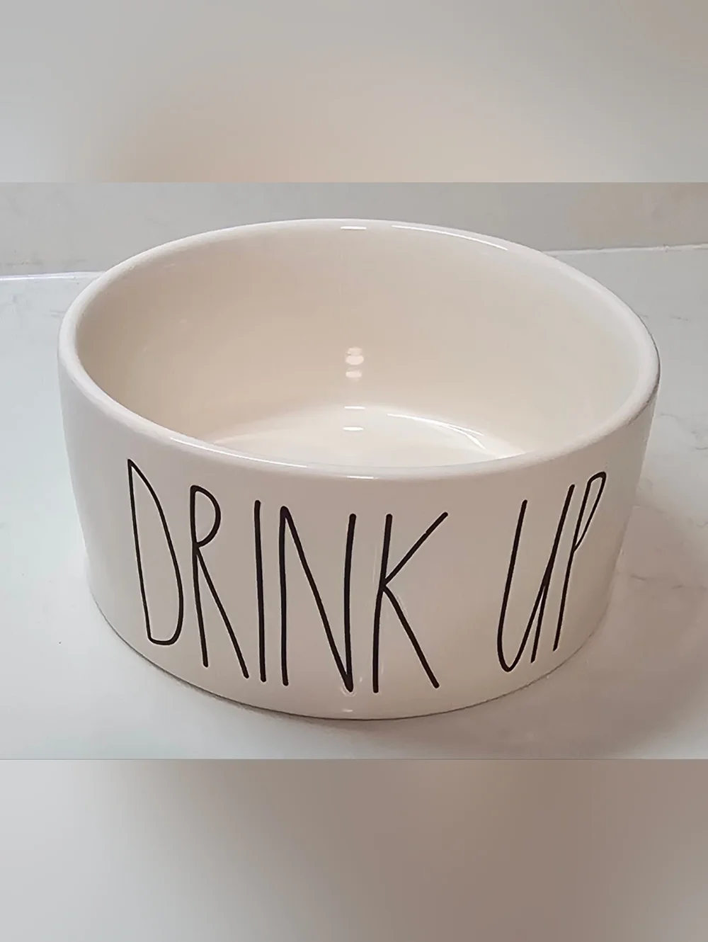 NEW Rae Dunn Large Drink Up Water Dog Cat Pet Bowl